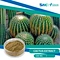 High Quality Kosher Halal Certified 100% Natural Cactus Extract.
